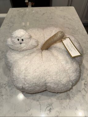New cupcake and cashmere pumpkin pillow with small ghost